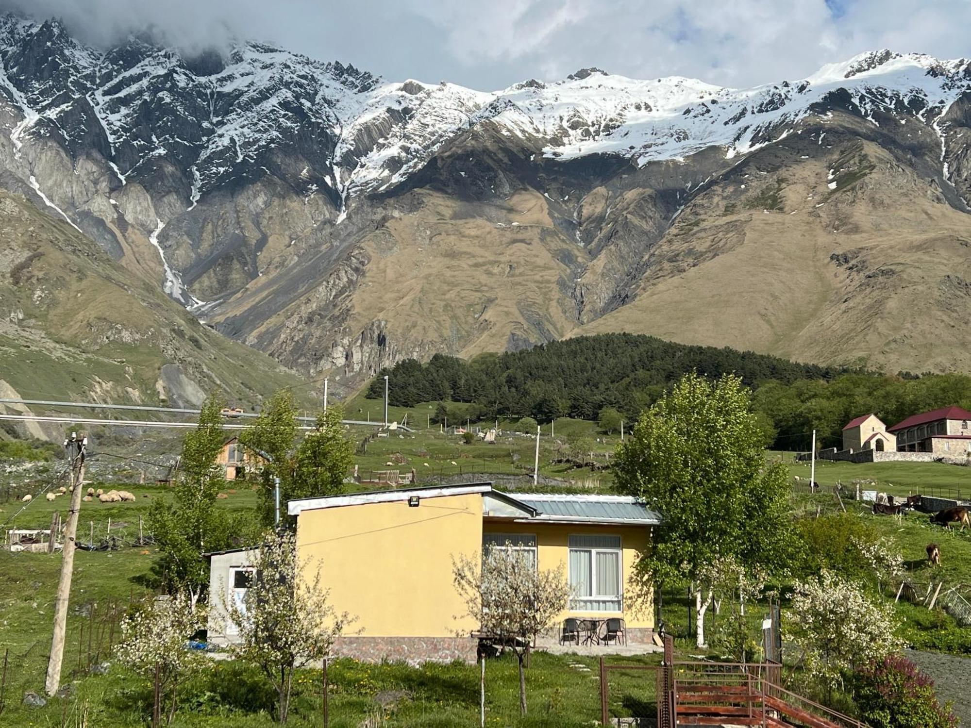Mountain Kazbegi Apartment Εξωτερικό φωτογραφία